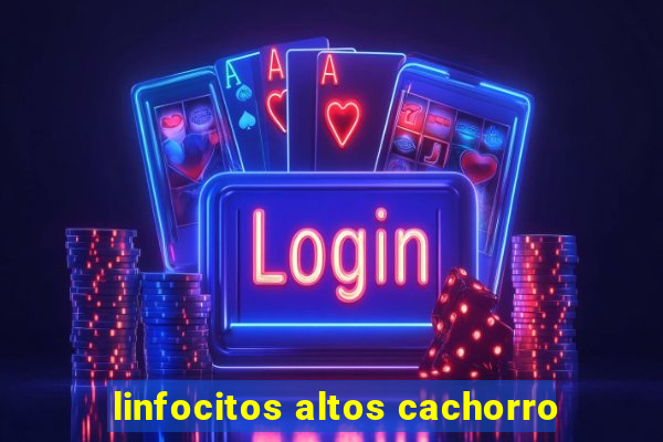 linfocitos altos cachorro